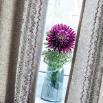 Auszeit Aussee 別荘 バート・アウスゼー